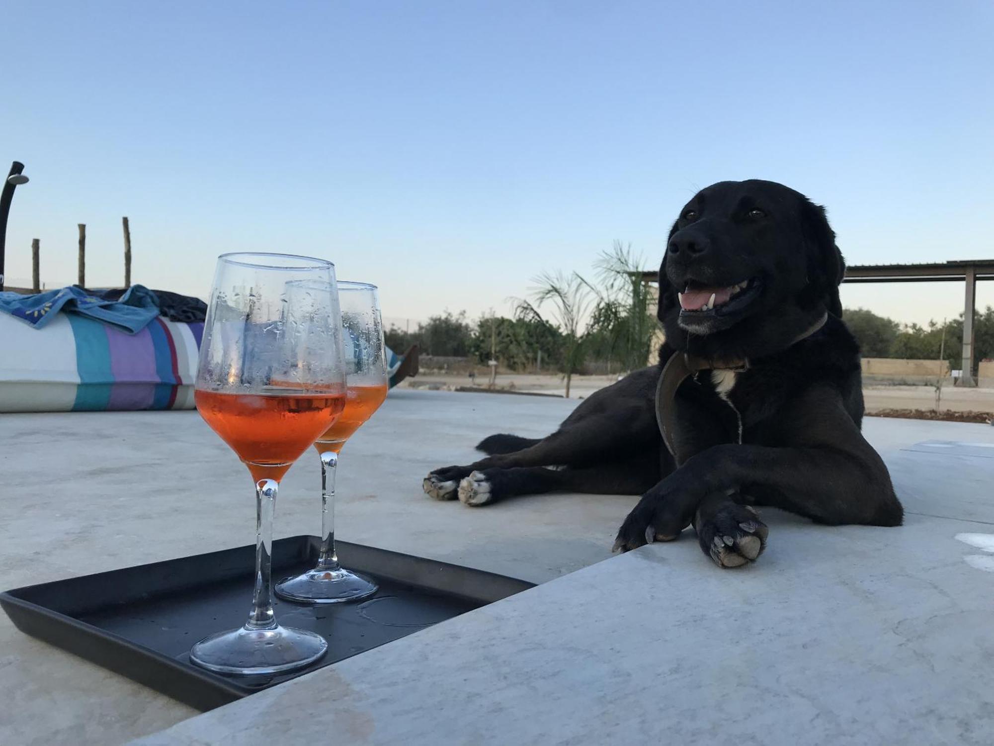Casapiuholidaysicilia-Adults Only ノート エクステリア 写真