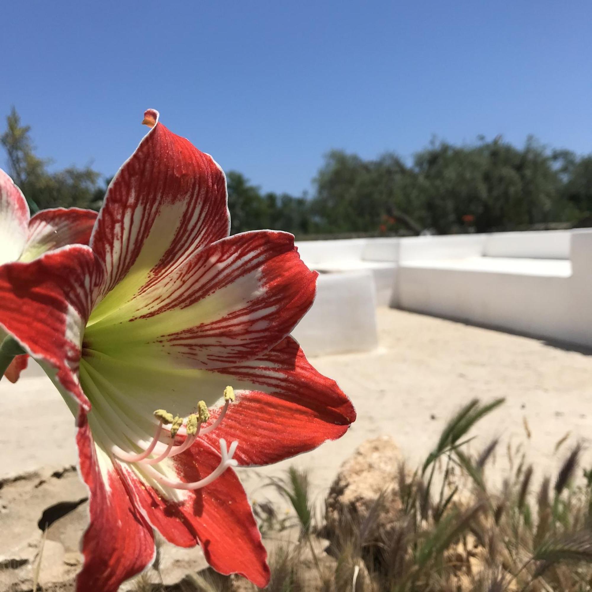 Casapiuholidaysicilia-Adults Only ノート エクステリア 写真