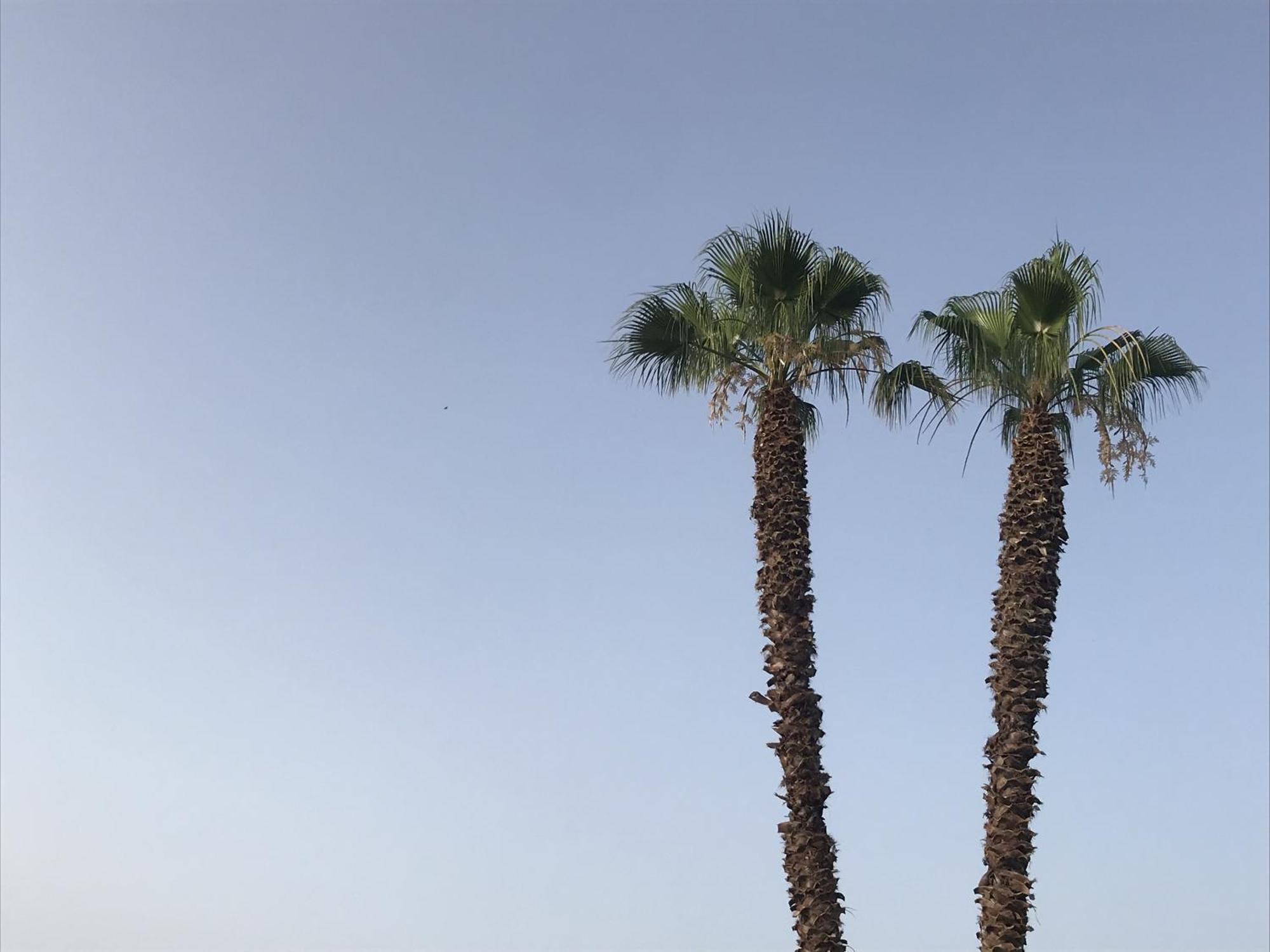 Casapiuholidaysicilia-Adults Only ノート エクステリア 写真