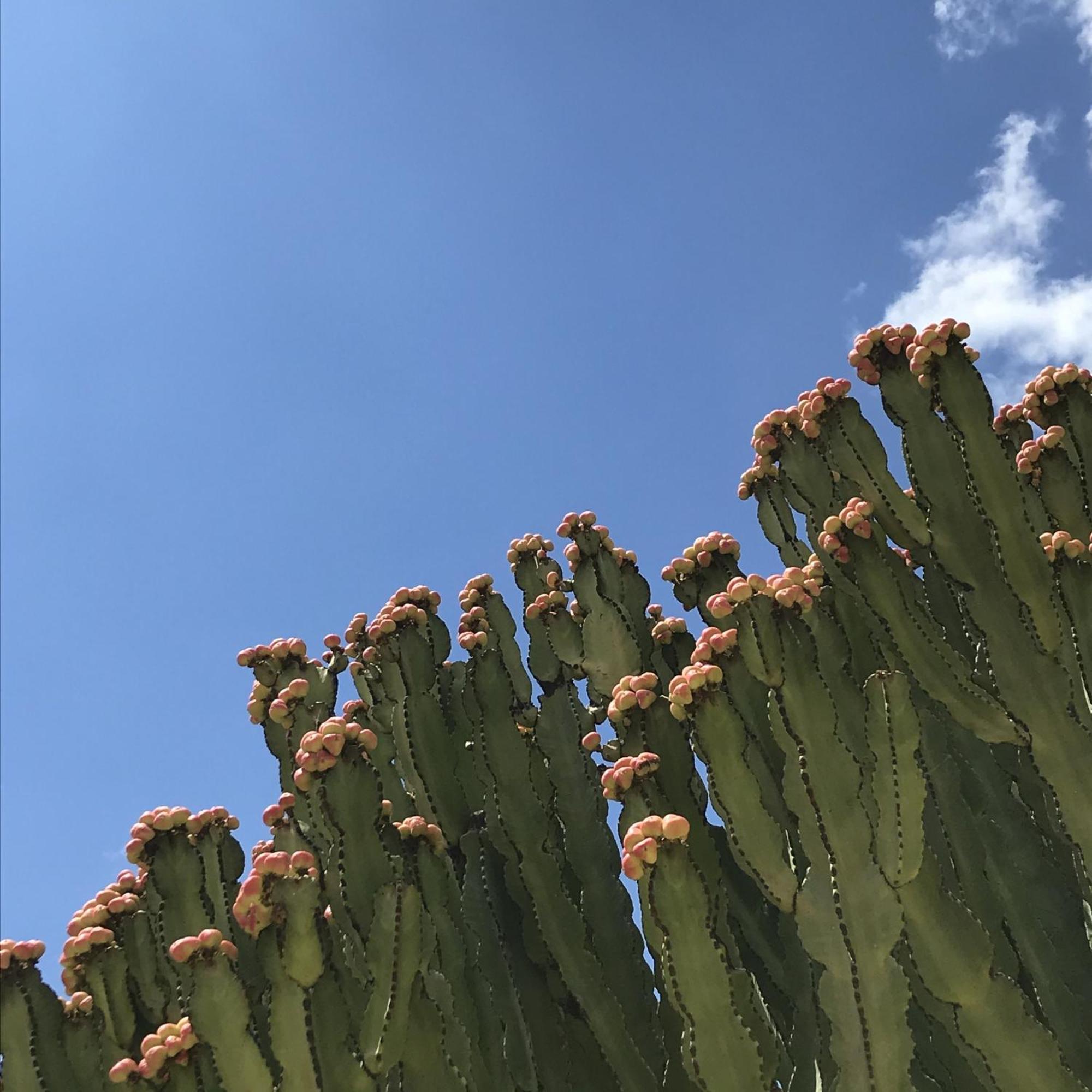Casapiuholidaysicilia-Adults Only ノート エクステリア 写真